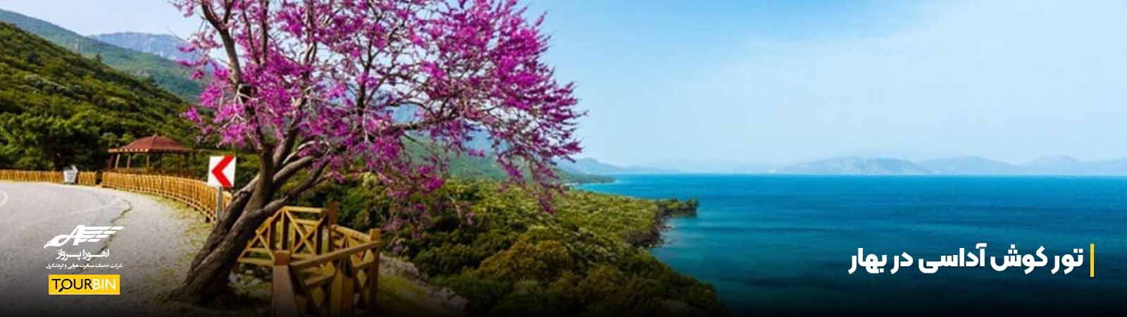 تور کوش آداسی در بهار